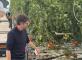 Sur le terrain, pour nos résidents : rencontre avec un producteur de tomates ! Résidence Le Tilleul Chanteloup-les-Vignes